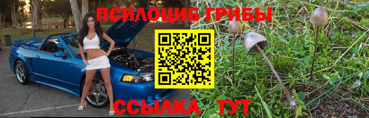 Псилоцибиновые грибы ЛСД Лесосибирск
